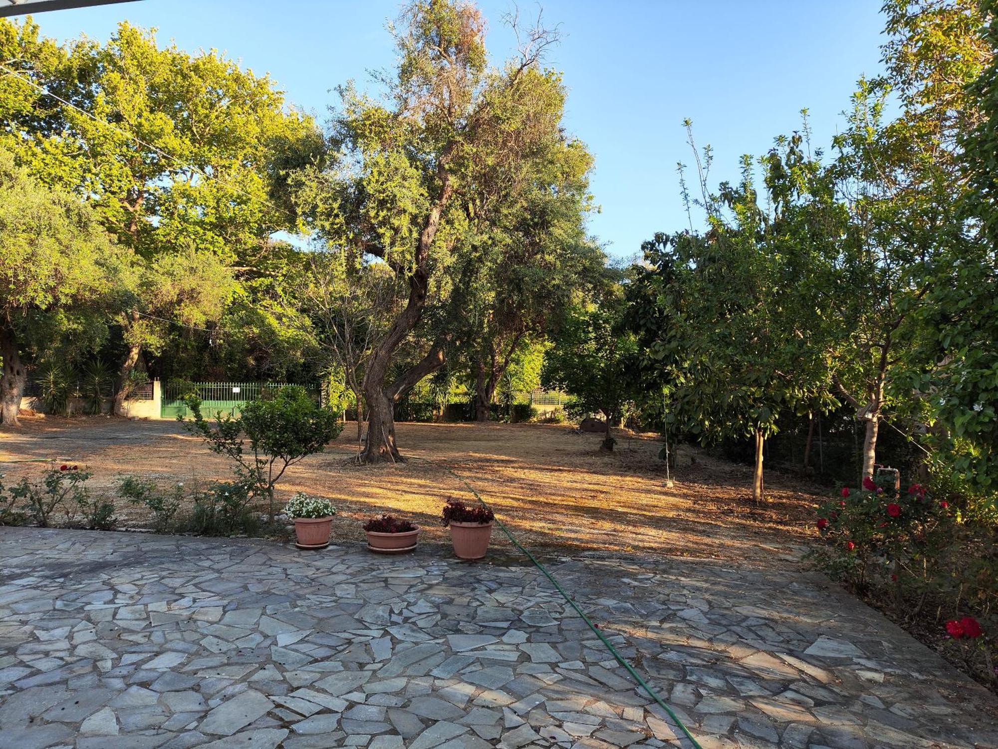 Anessis Sarakiniko (Epirus) Exterior foto